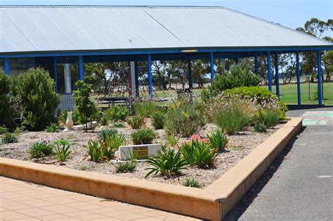 Tintinara Area School .